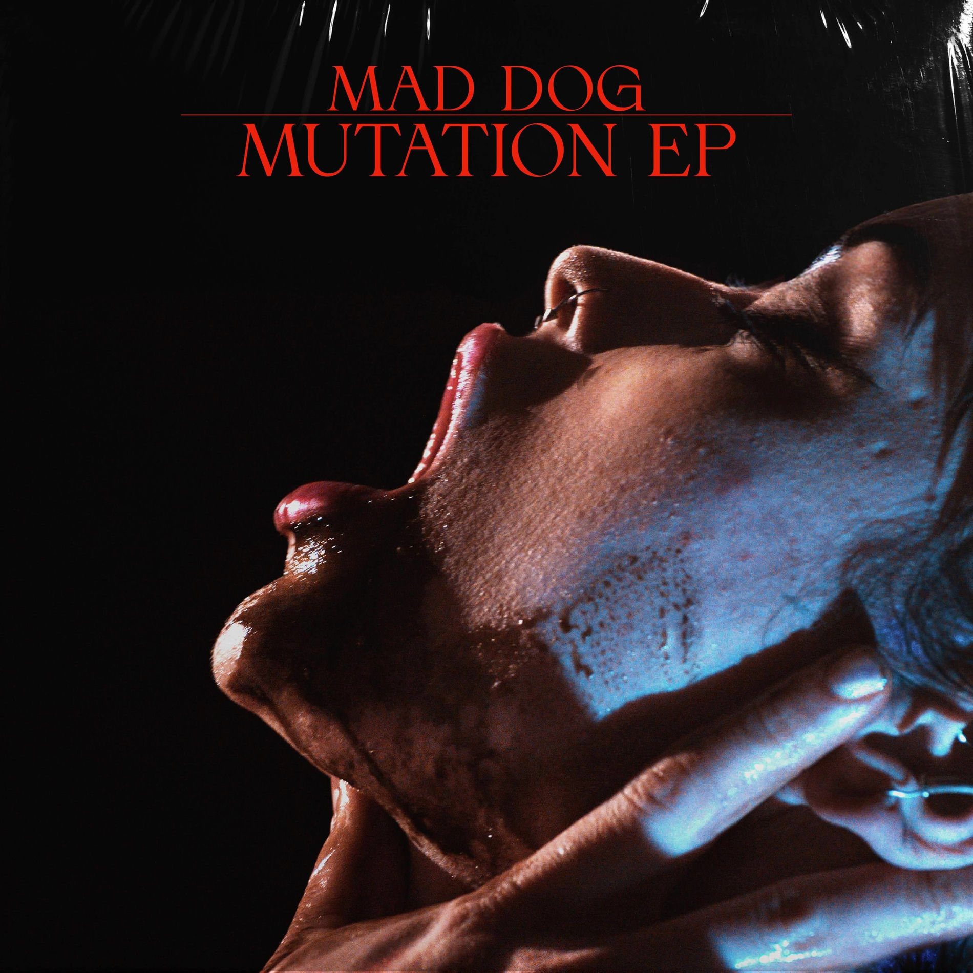MAD DOG