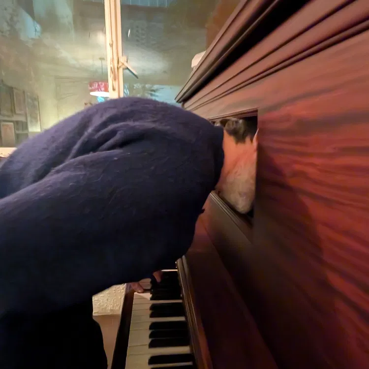 Patrick Watson