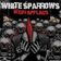 White Sparrows