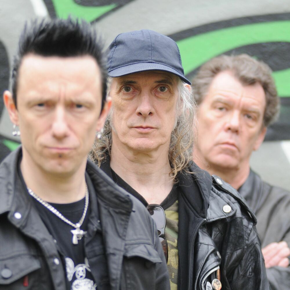 Picture of The Vibrators