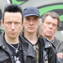 Picture of The Vibrators