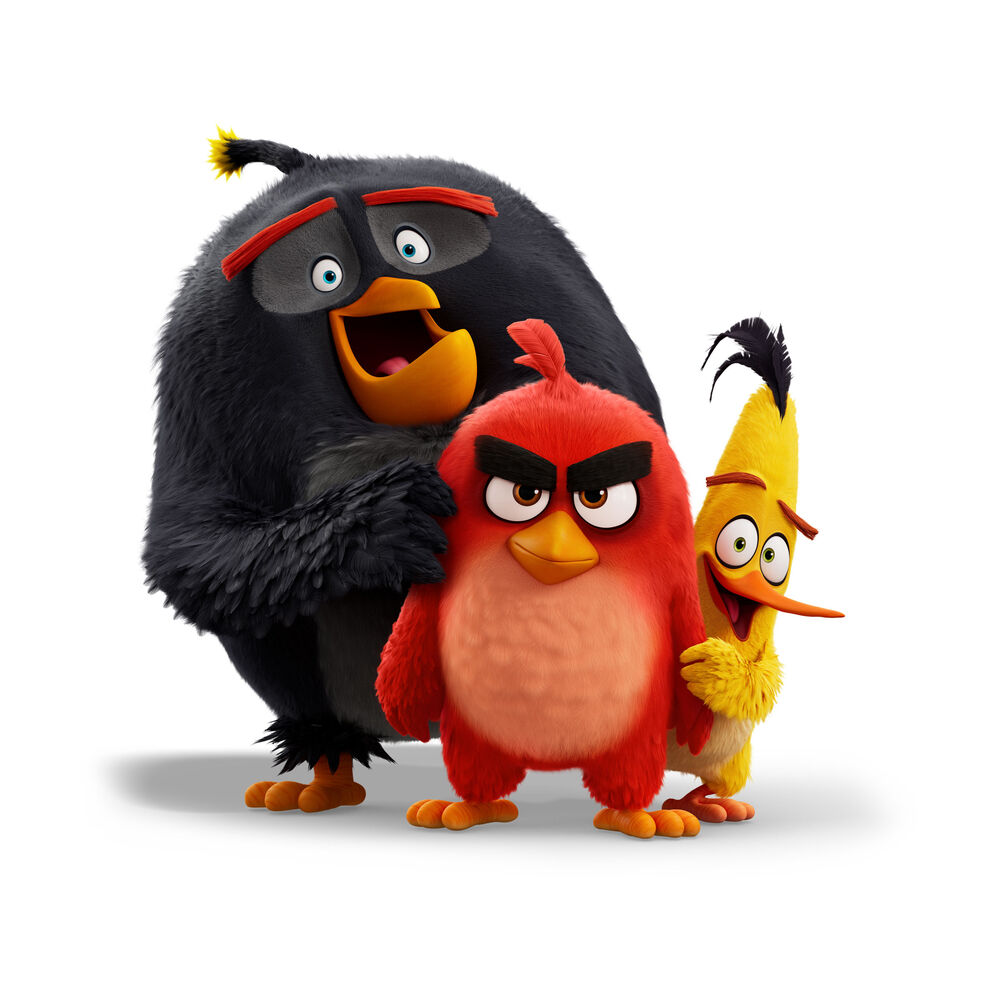 Picture of Angry Birds