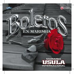 Picture of Marimba Usula Internacional