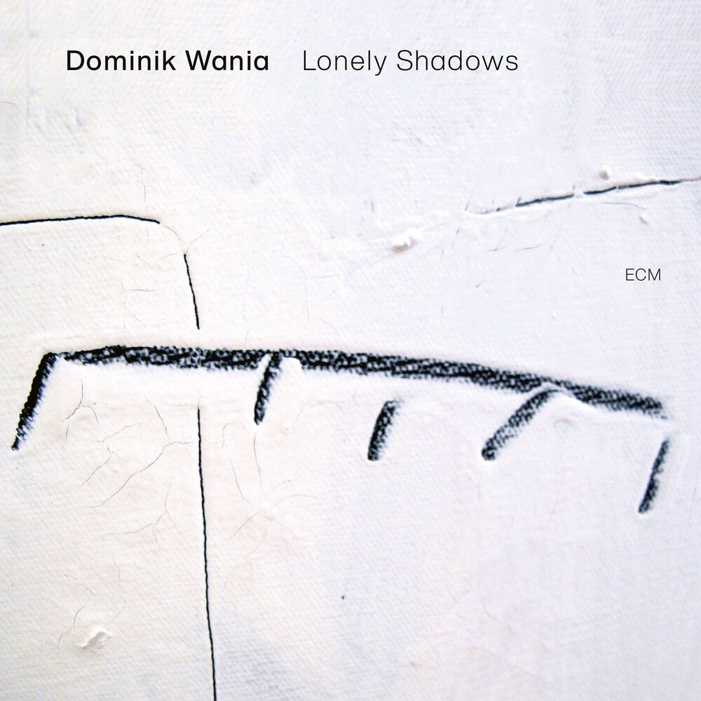 Picture of Dominik Wania