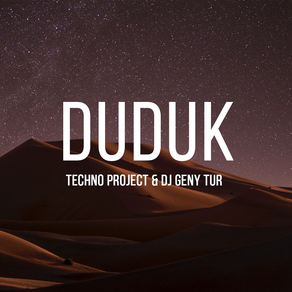 Picture of Techno Project