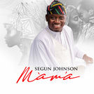 Segun Johnson