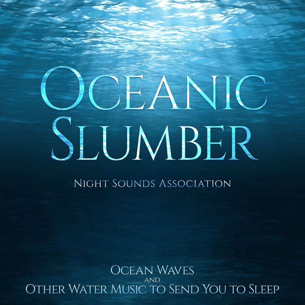 Picture of Night Sounds Association