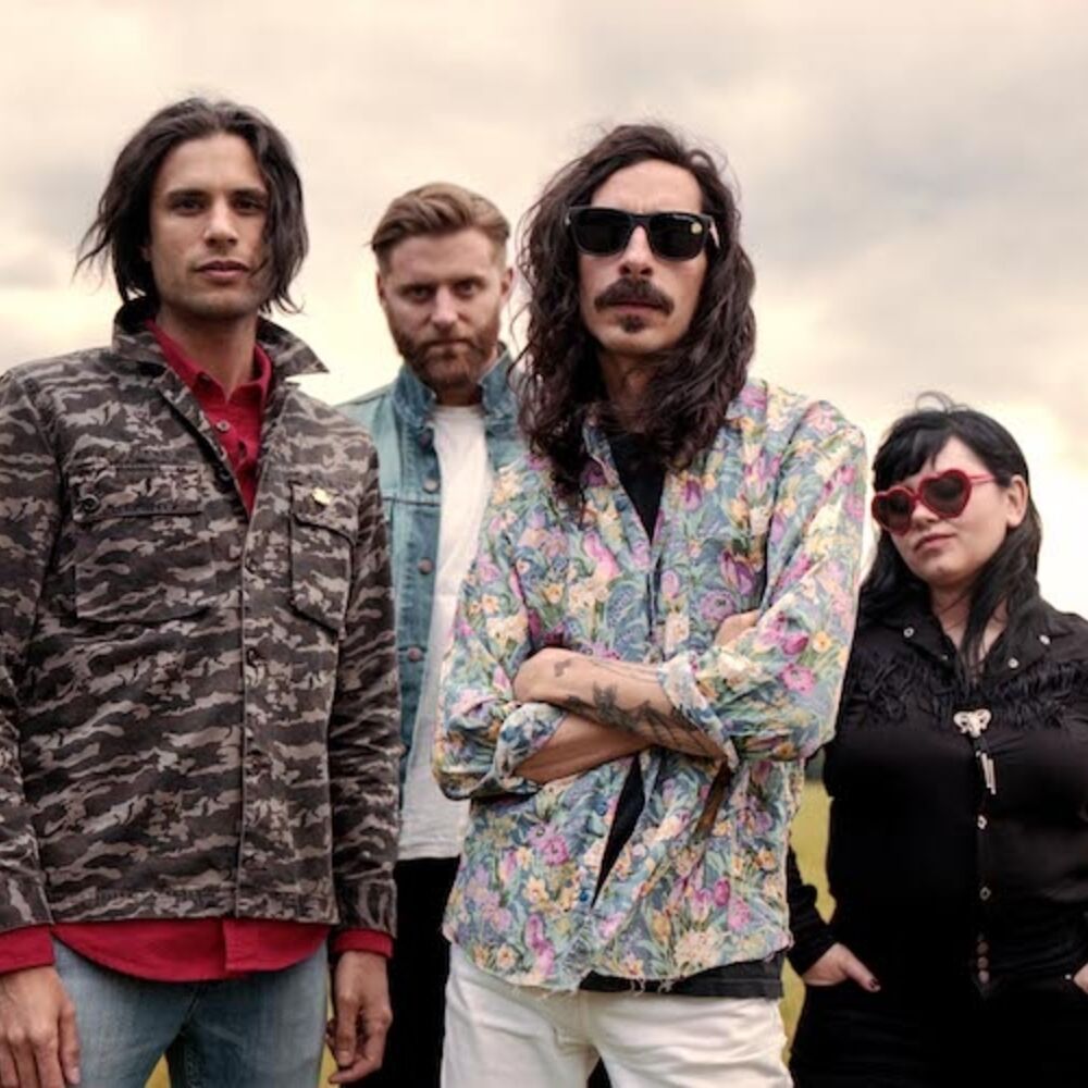 Picture of Turbowolf