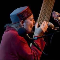 Picture of Didier Malherbe