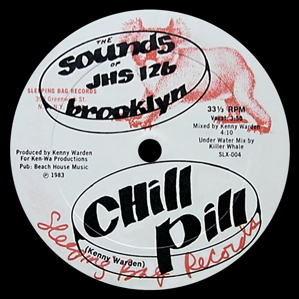 Photo de l'artiste The Sounds Of JHS 126 Brooklyn