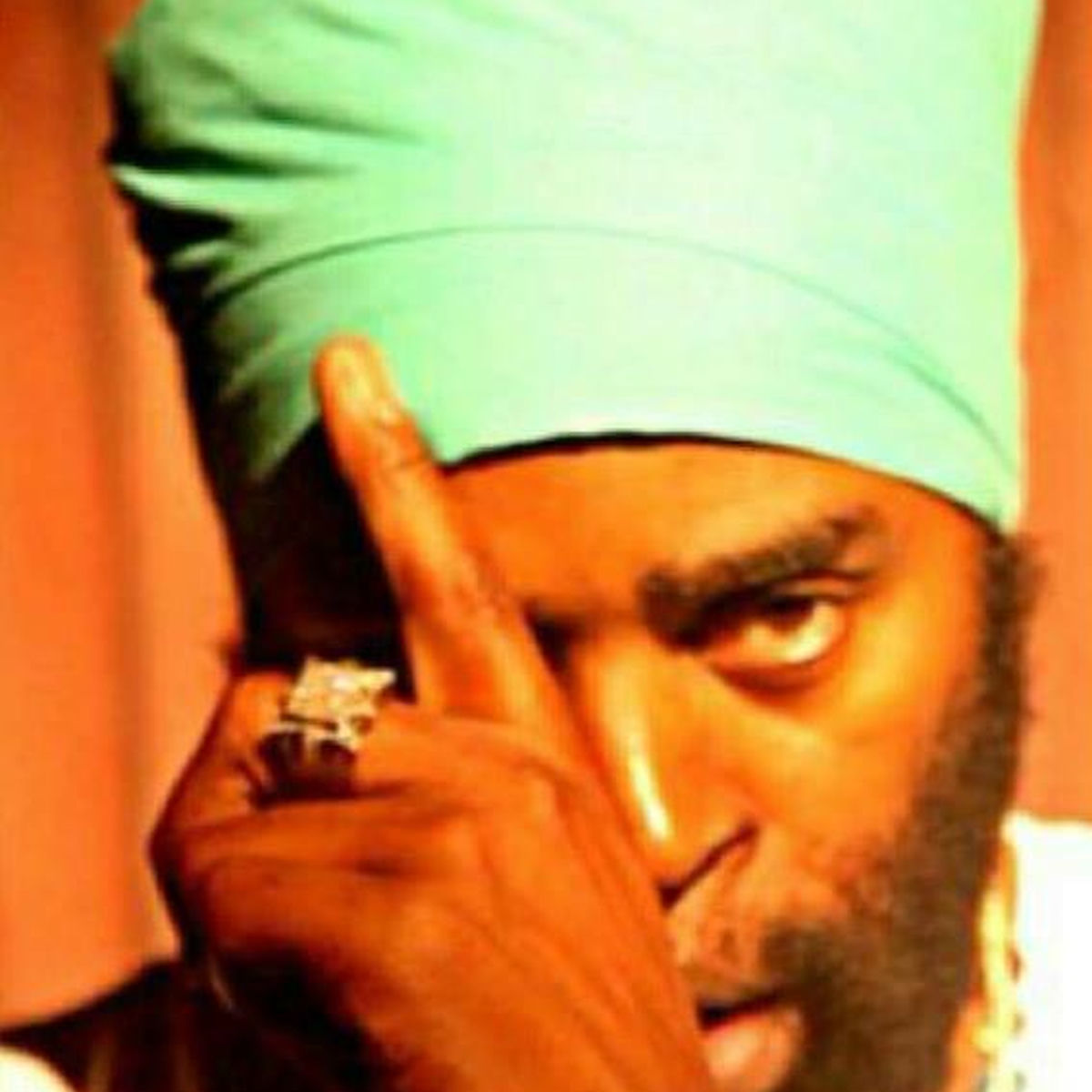 Artist picture of Bugle