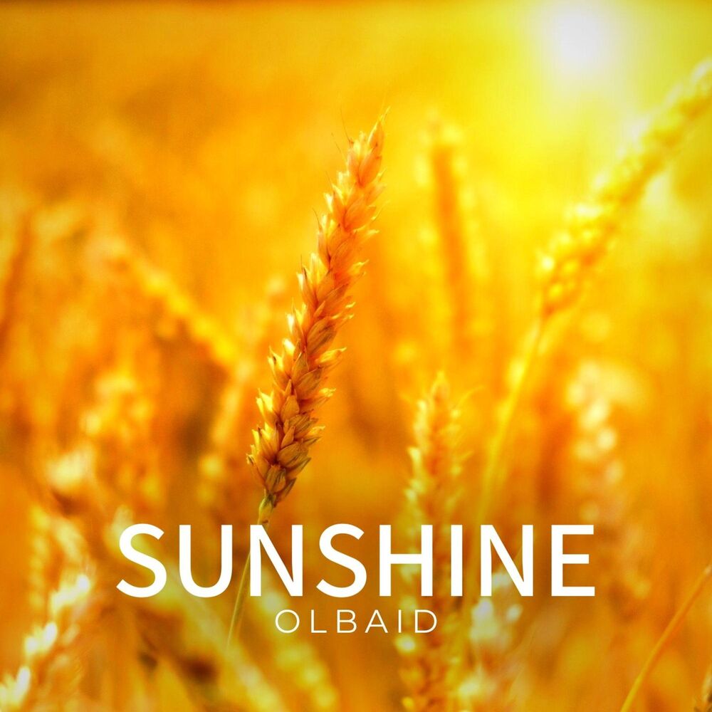 Picture of Olbaid