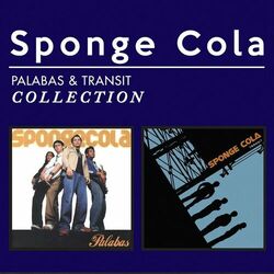 Picture of Sponge Cola