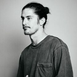 Picture of Honestav