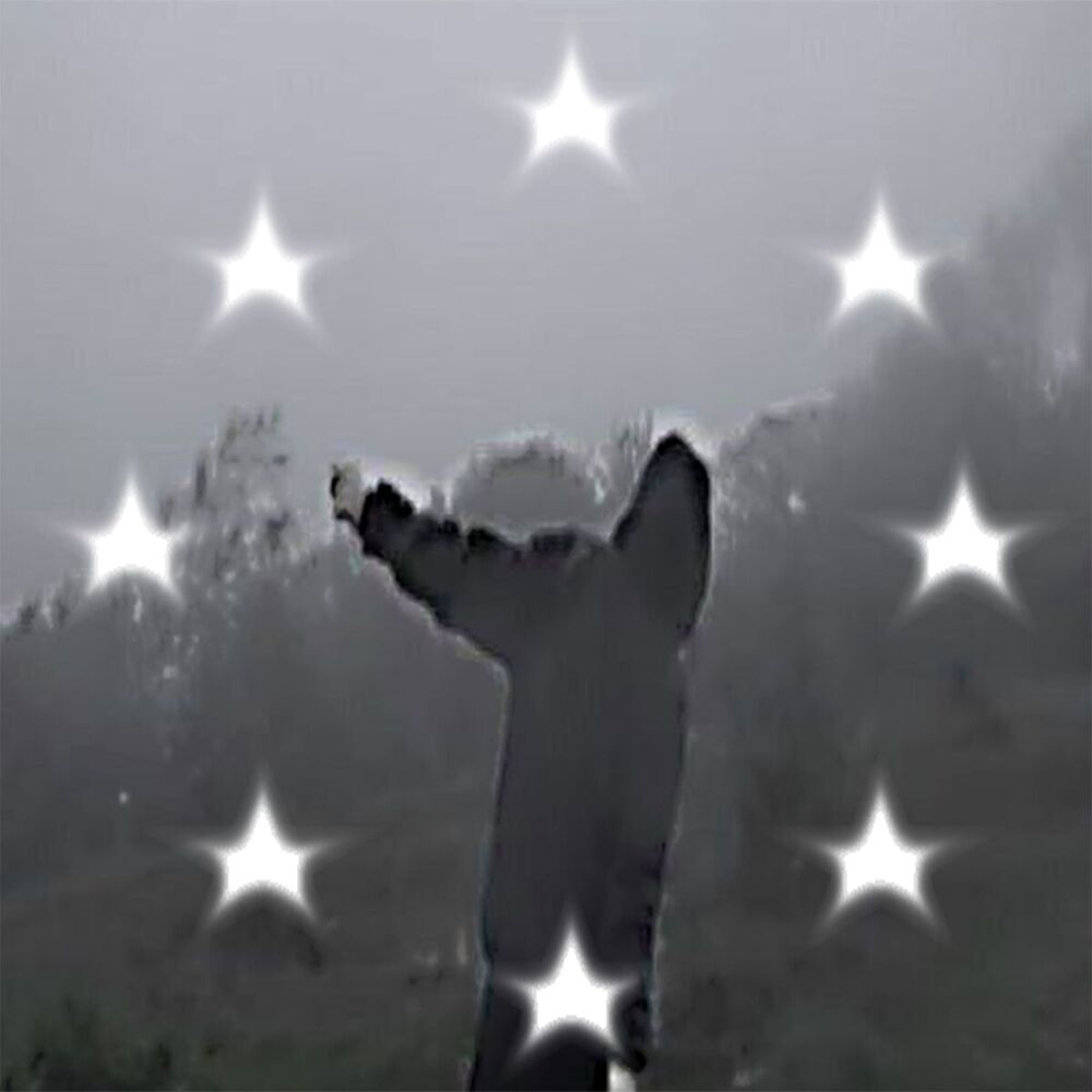 Picture of Ocboyblau