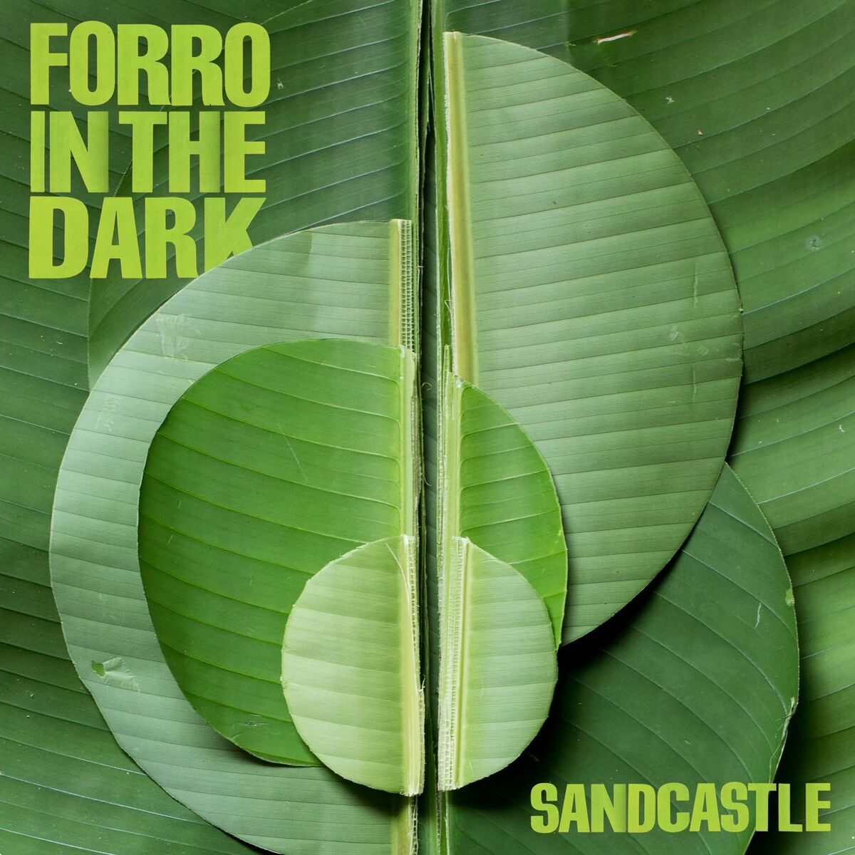 Forro In The Dark