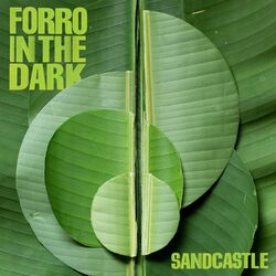 Picture of Forro In The Dark