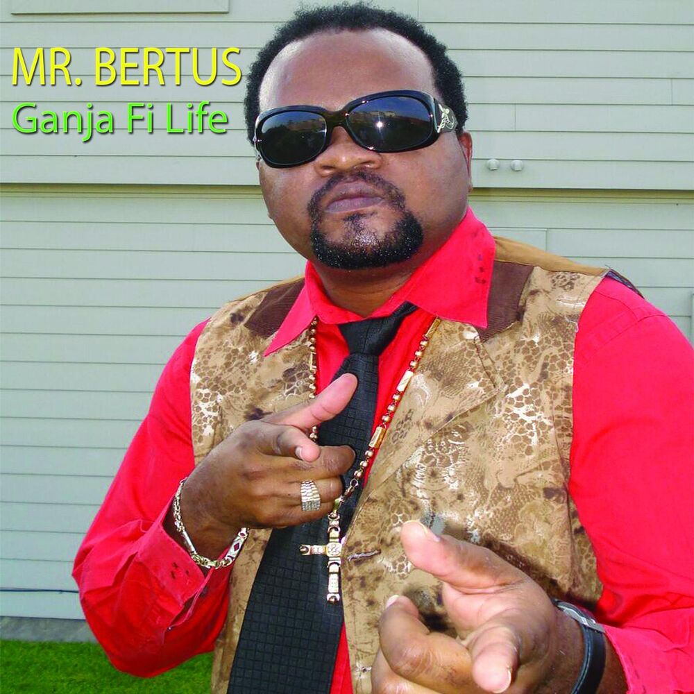 Picture of Mr Bertus