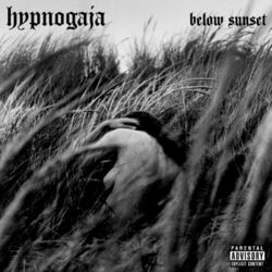 Picture of Hypnogaja