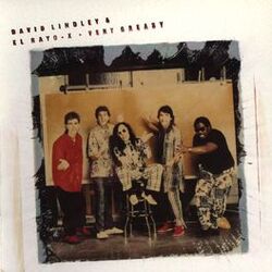 Picture of David Lindley & El Rayo-X