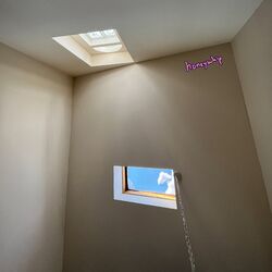 Picture of Honeywhip