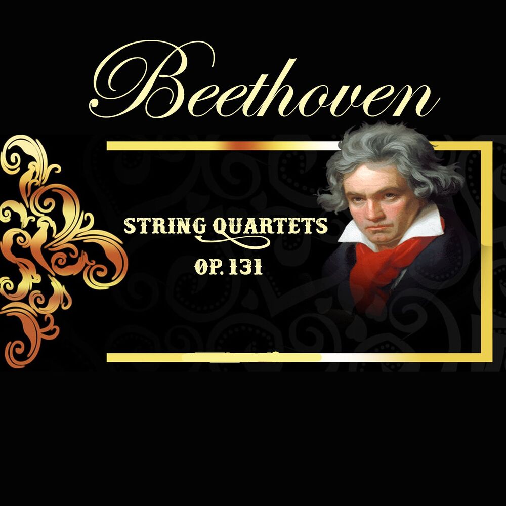 Picture of The Medici Quartet