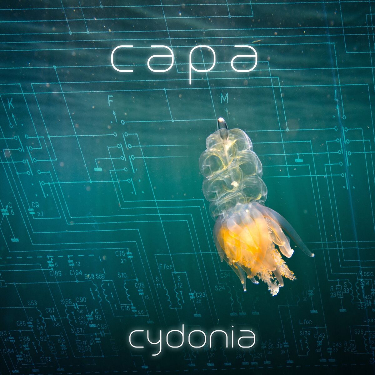 CaPa