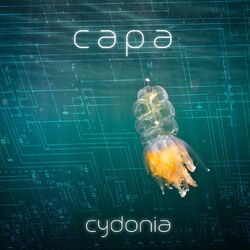 Picture of CaPa