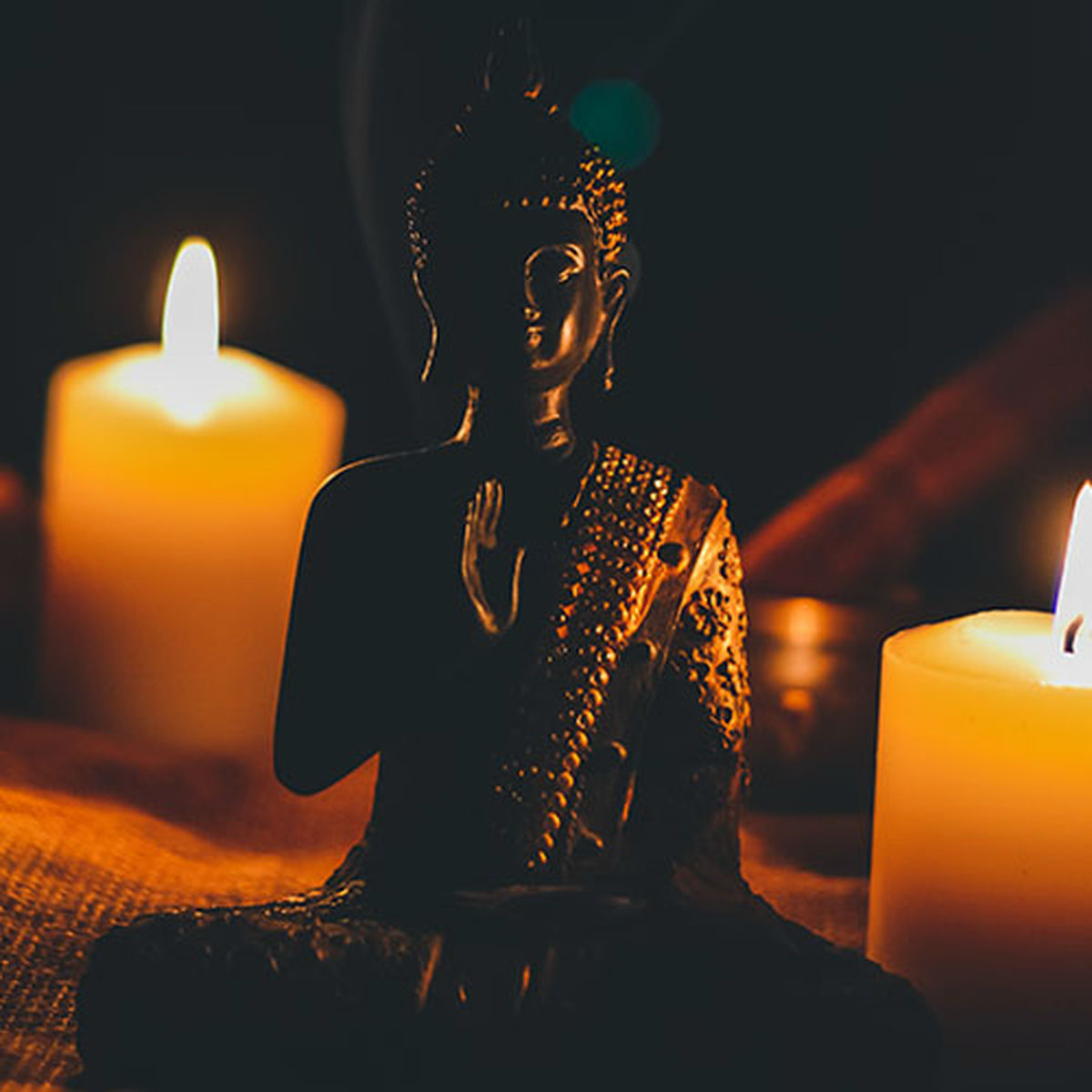 Artist picture of Massage Tribe