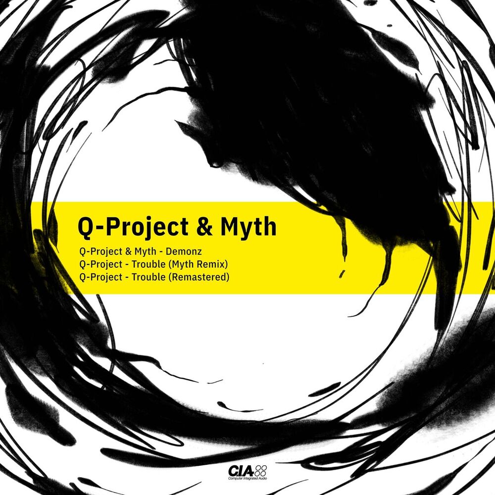 Picture of Q Project