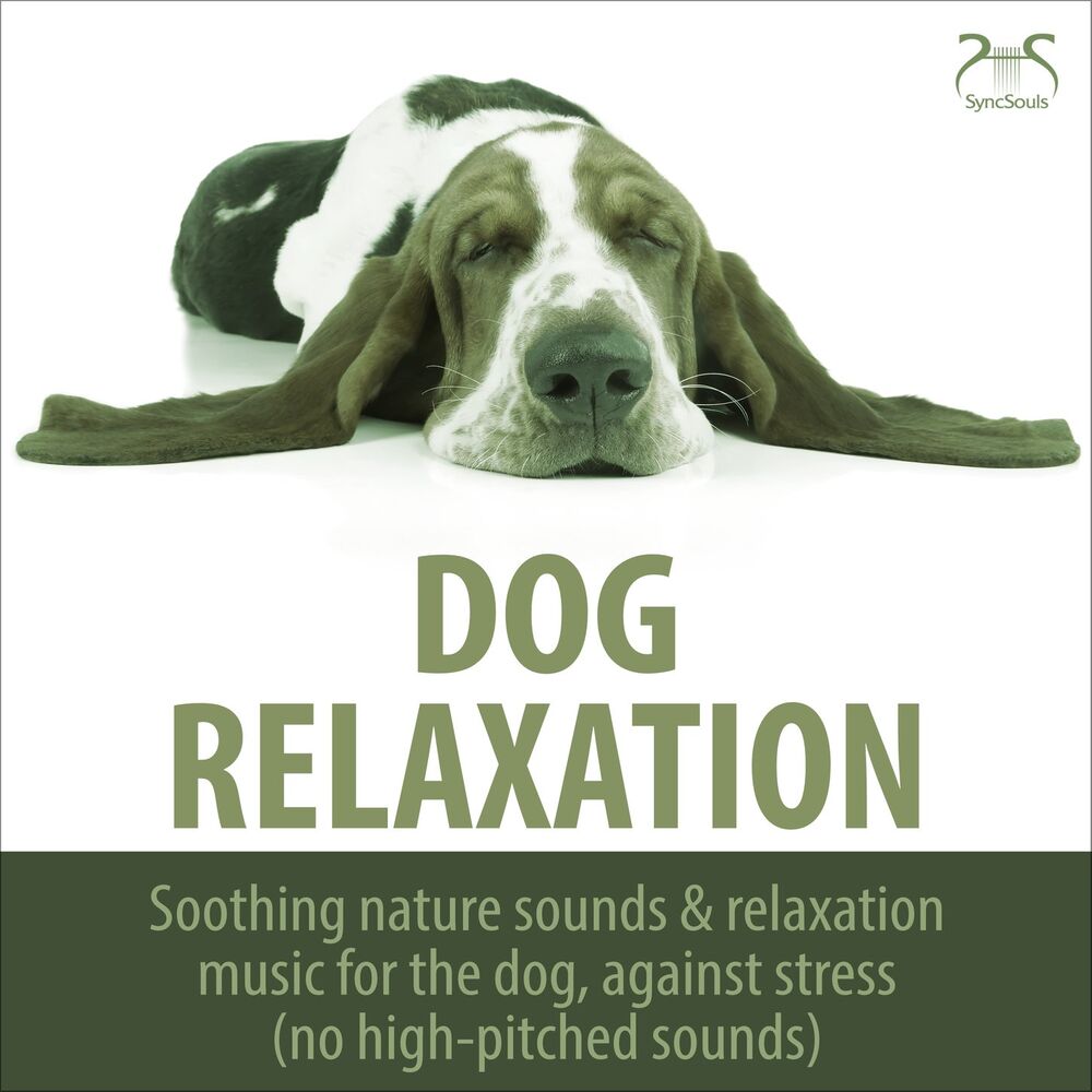 Picture of Dog Music TA