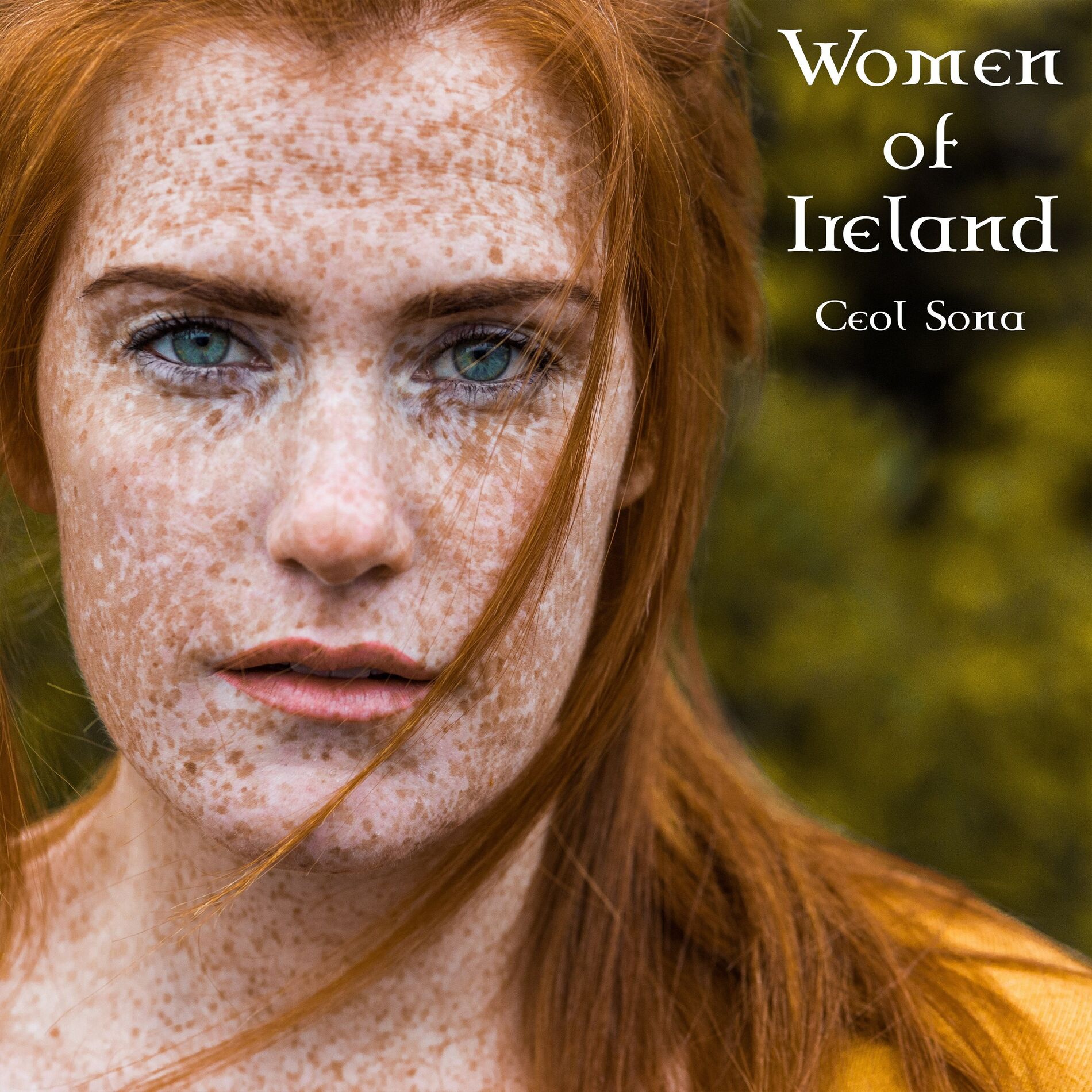 Artist picture of Ceol Sona
