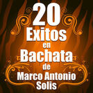 Bachata Salvaje
