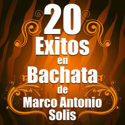 Picture of Bachata Salvaje