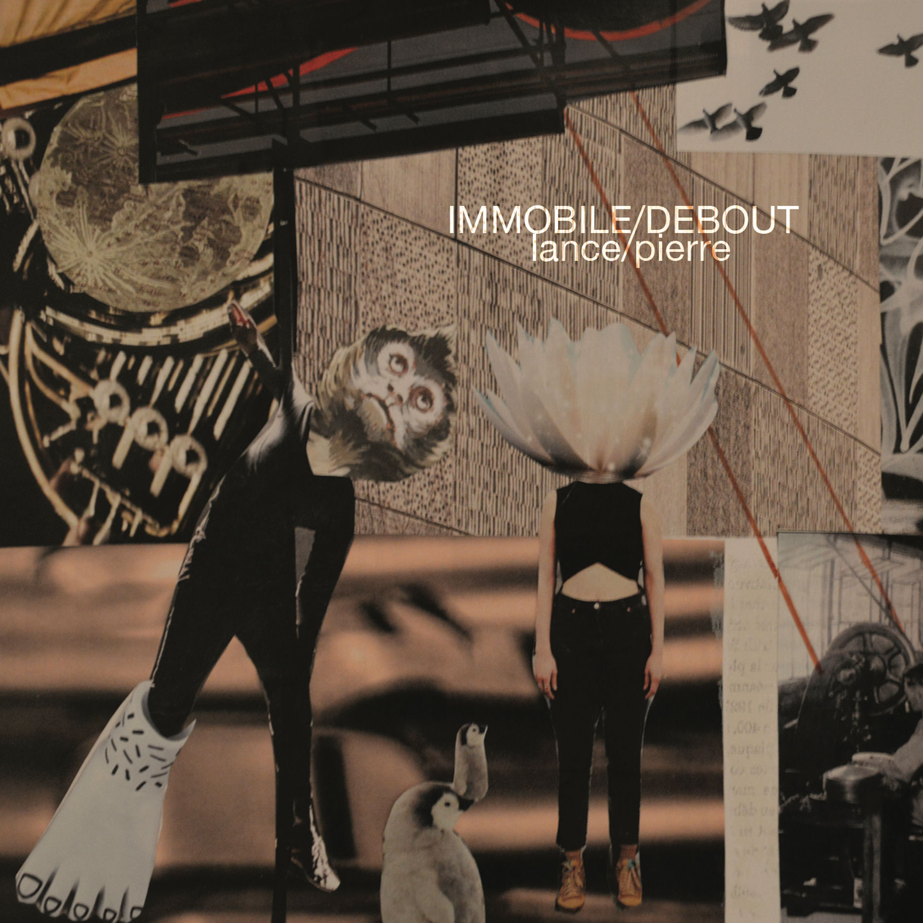 Artist picture of Immobile/Debout