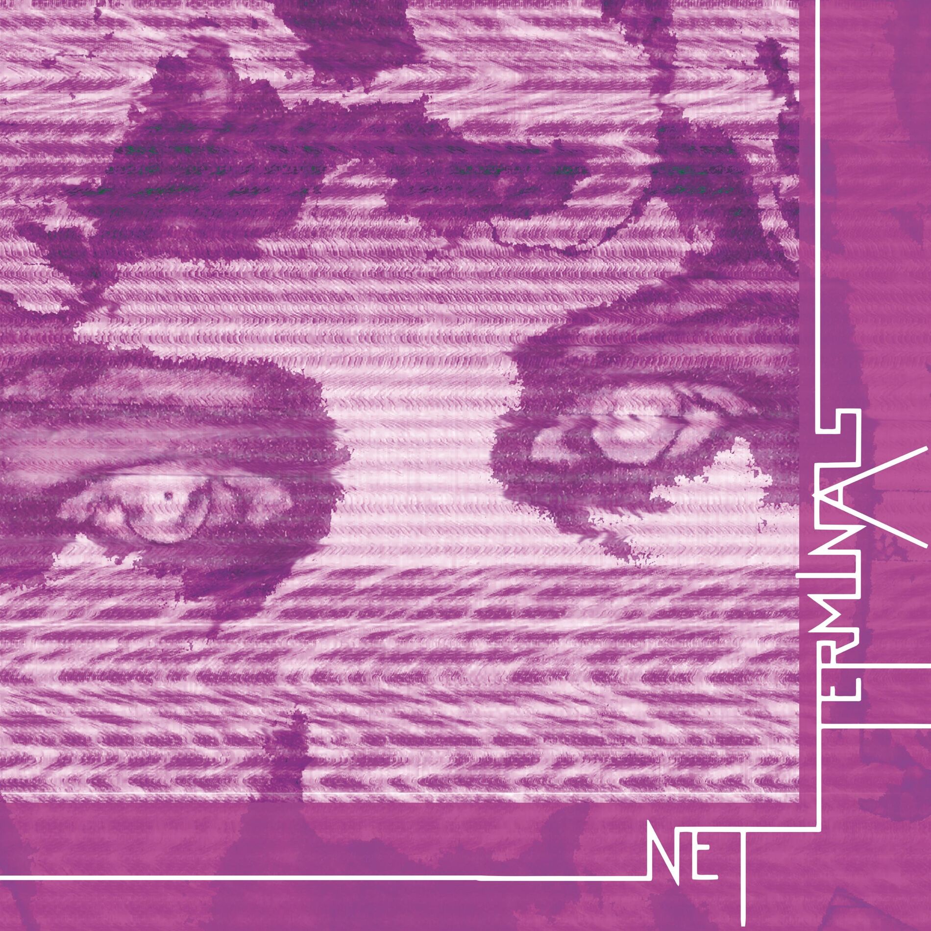 Net