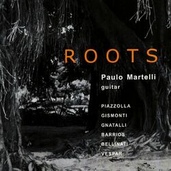 Picture of Paulo Martelli