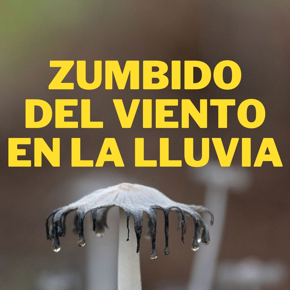 Picture of Siempre Lloviendo