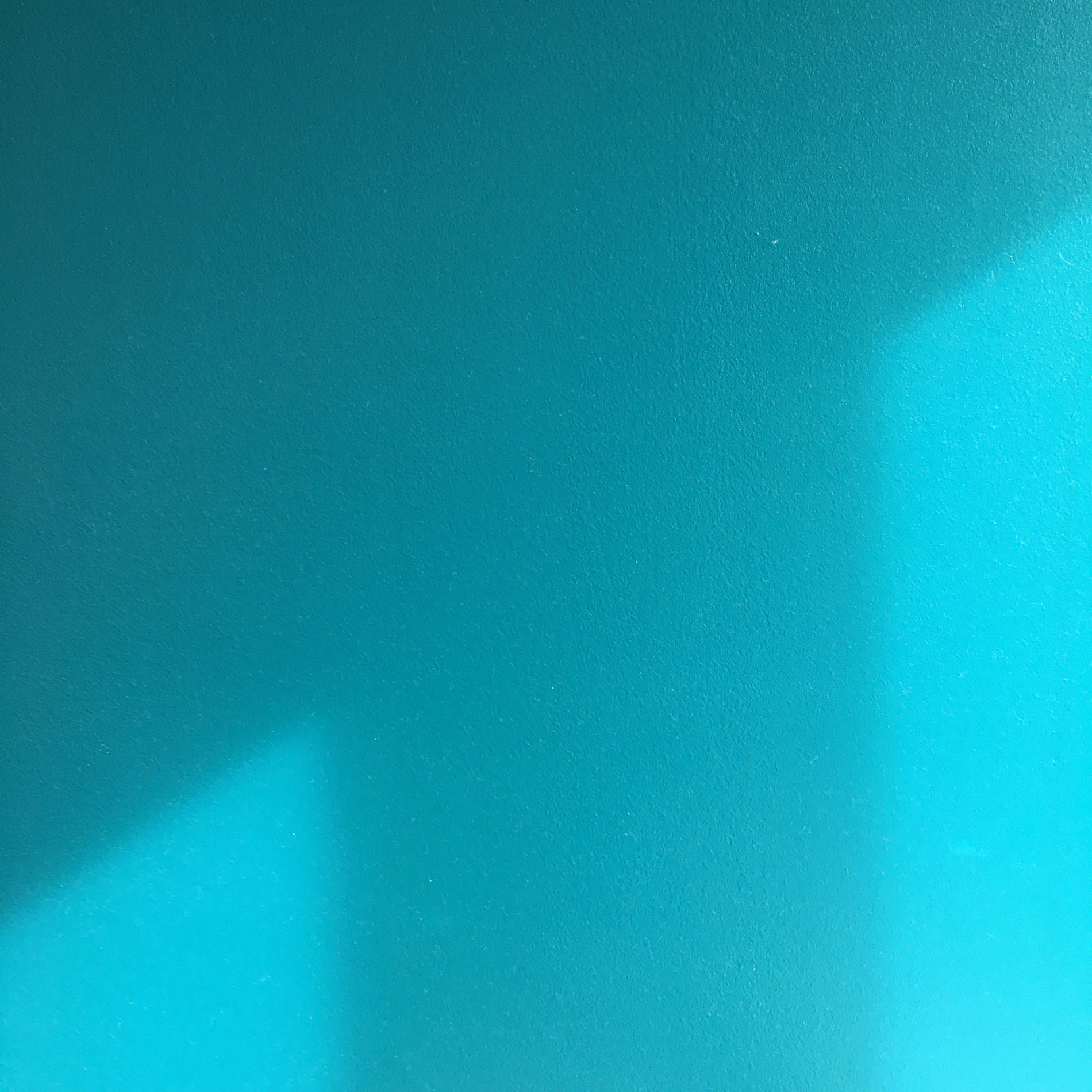 Artist picture of Liza