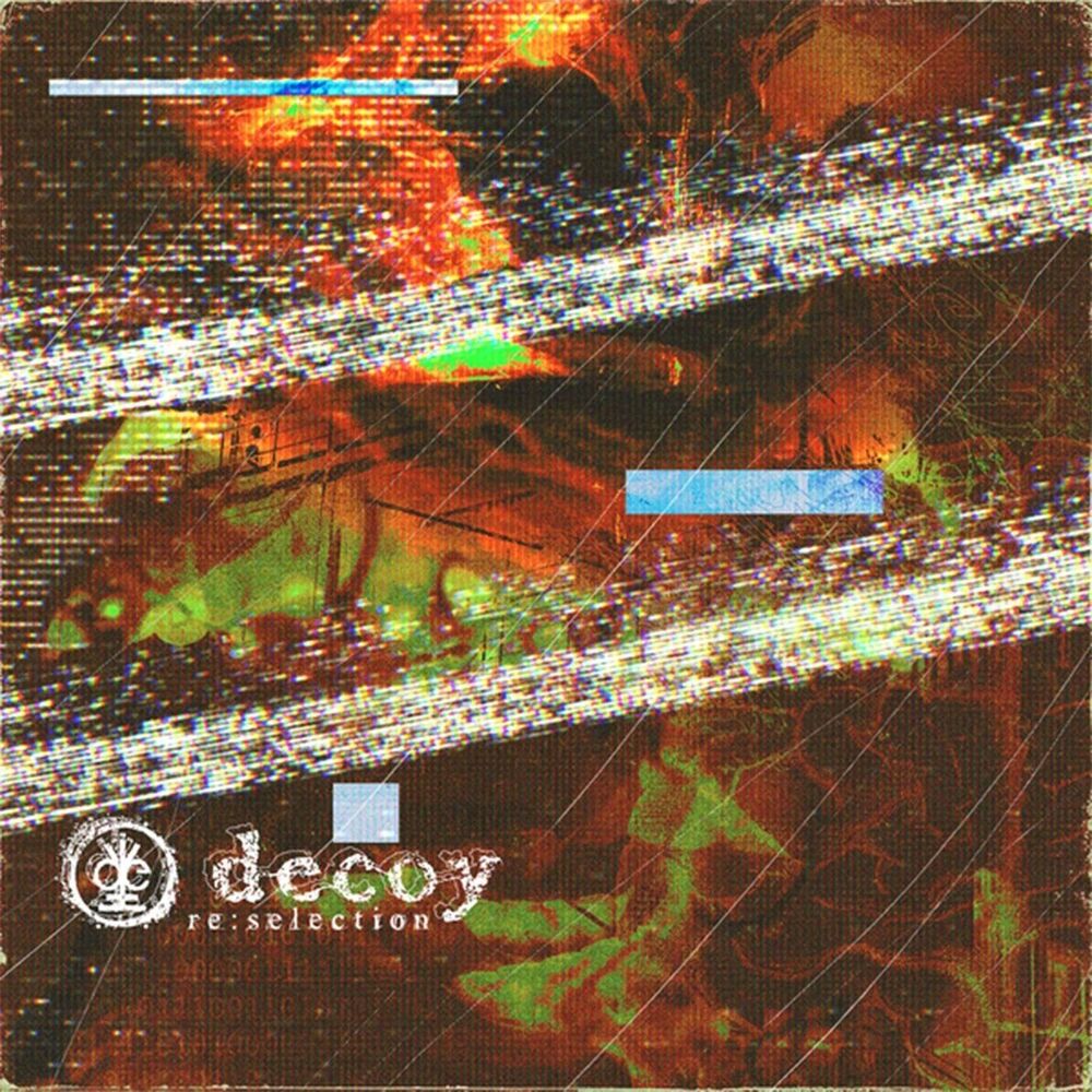 Picture of Decoy