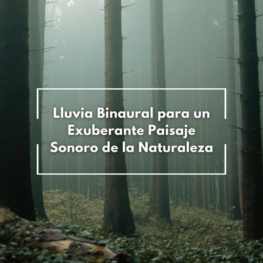 Picture of Perspectiva de la naturaleza