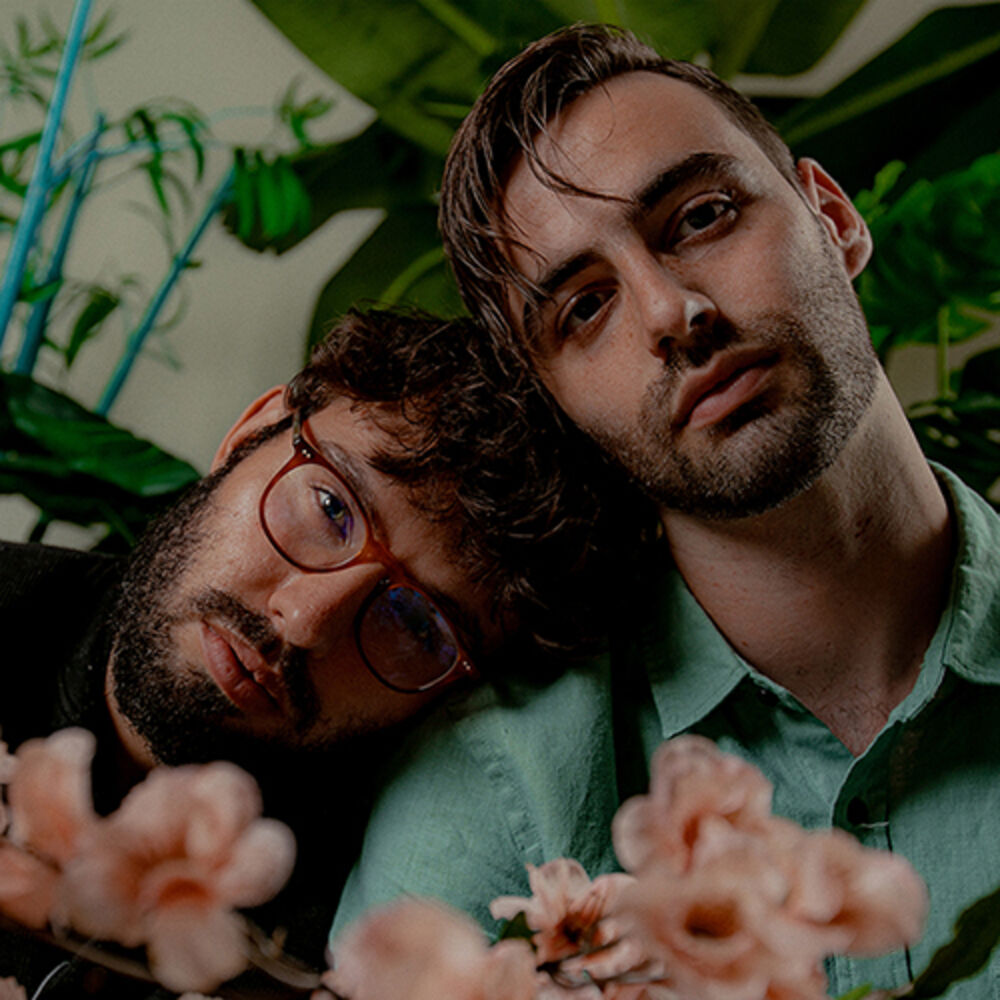Picture of slenderbodies
