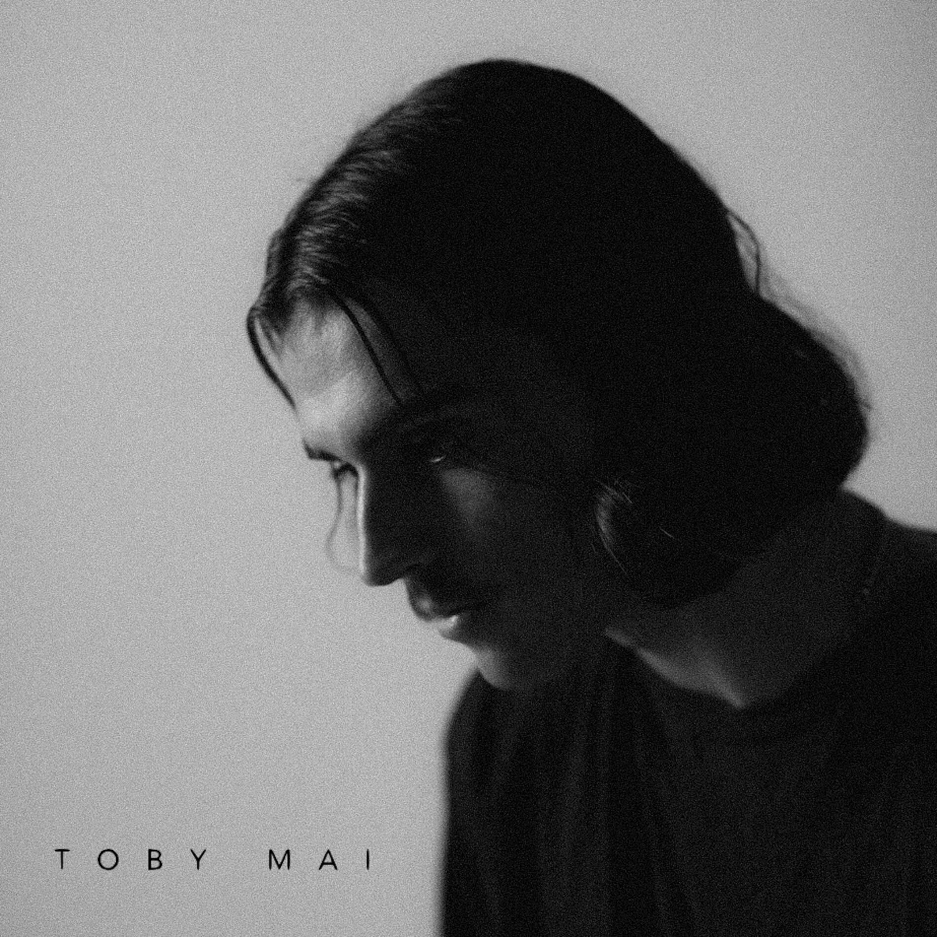 Artist picture of Toby Mai
