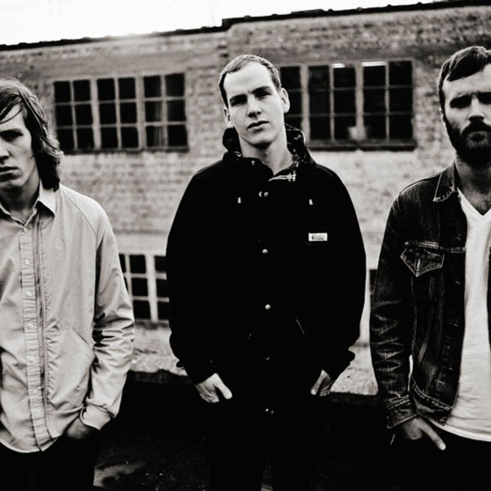 Picture of Rise and Fall