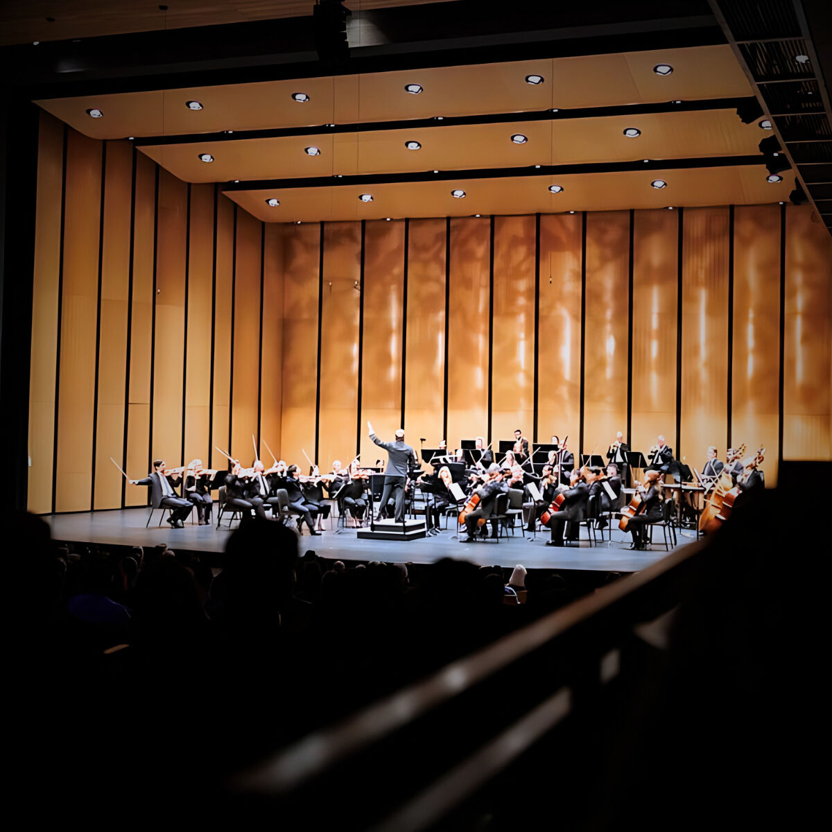 Artist picture of Dallas Chamber Symphony