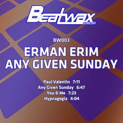Picture of Erman Erim