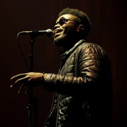 Picture of XamVolo