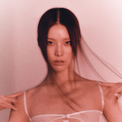 Picture of Lim Kim