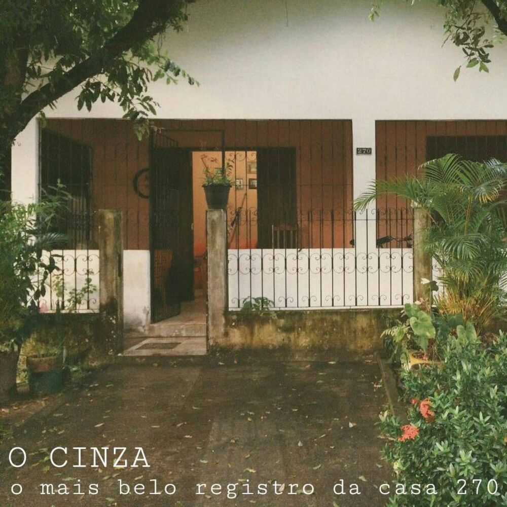 Picture of O Cinza