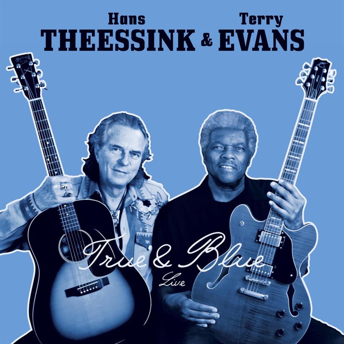 Hans Theessink